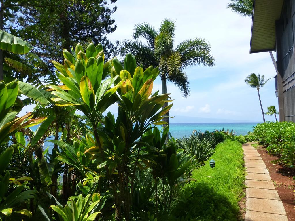 Mahina Surf 220 By Redawning Aparthotel Lahaina Exterior foto